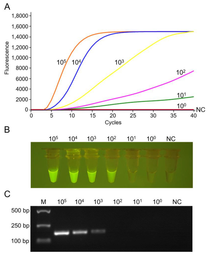 Figure 4