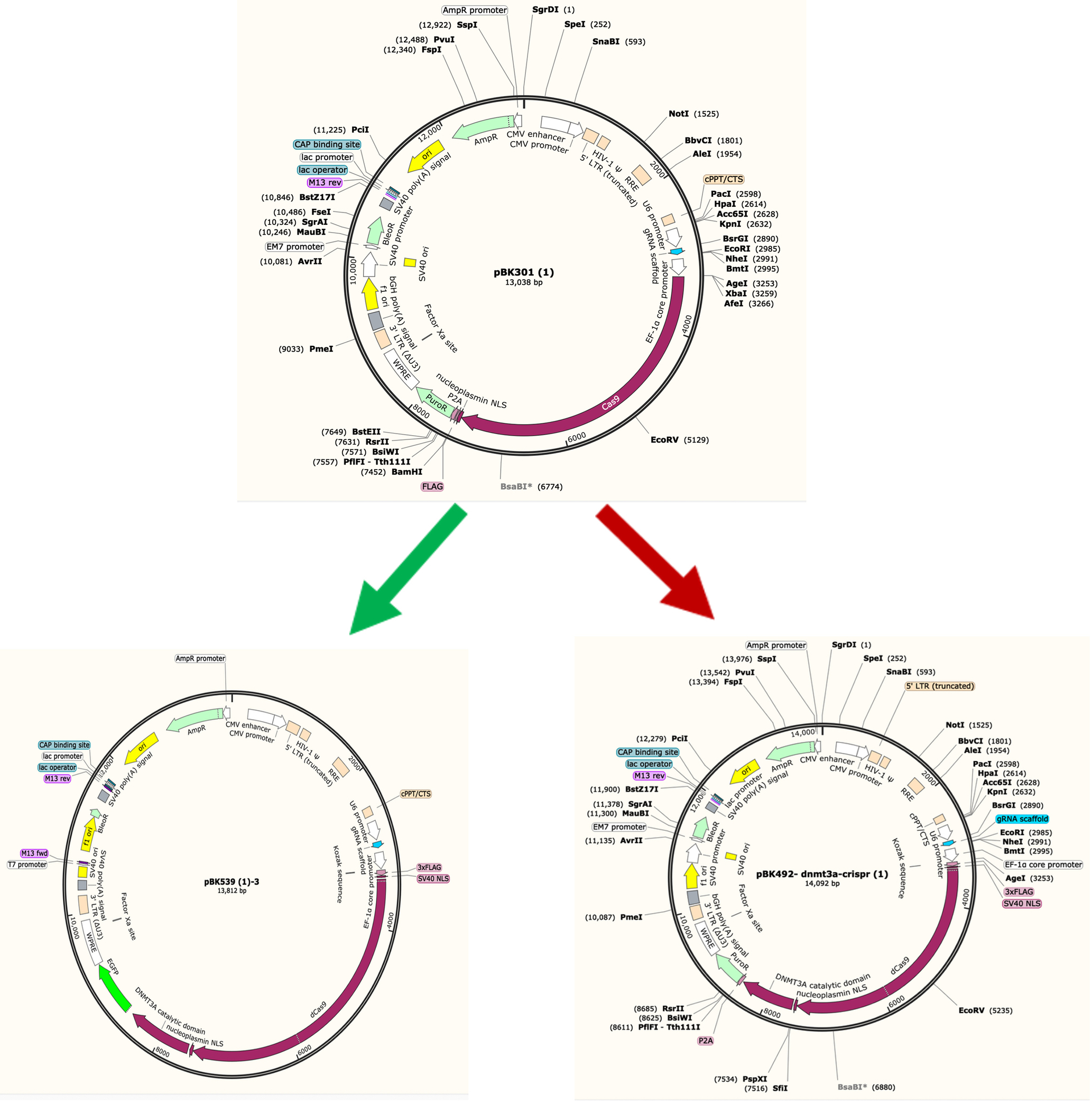 Figure 3: