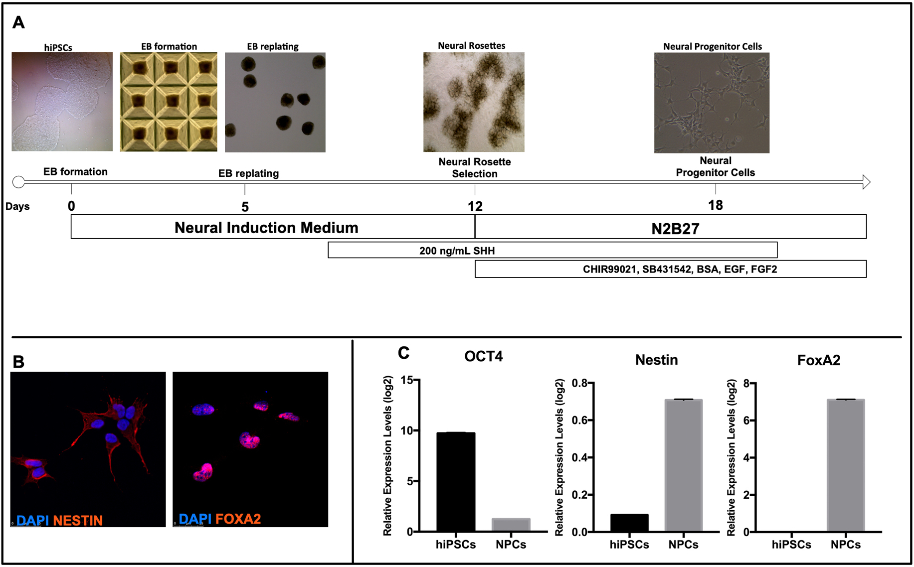 Figure 6: