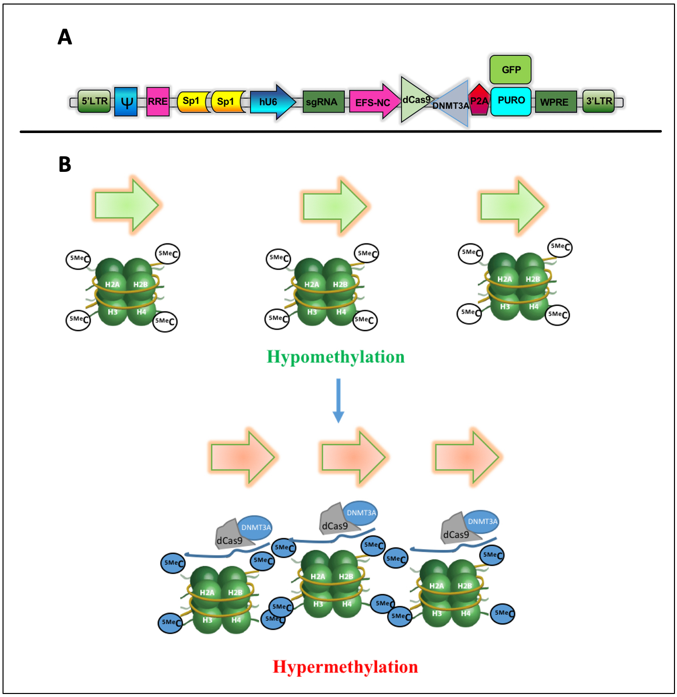 Figure 2: