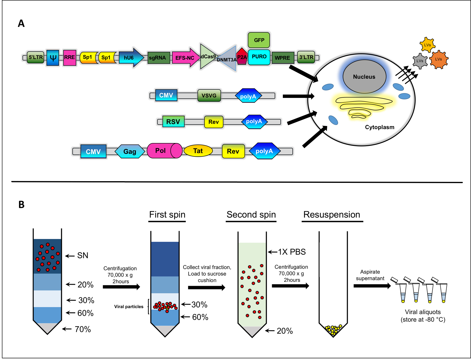 Figure 4: