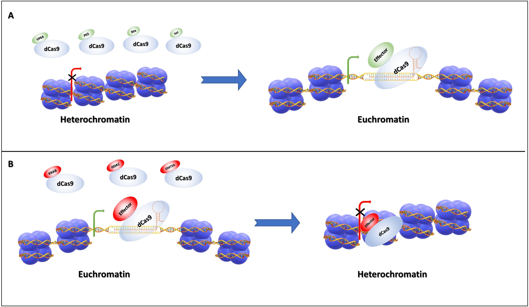 Figure 1: