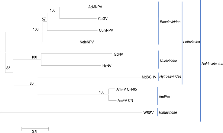 Fig. 3