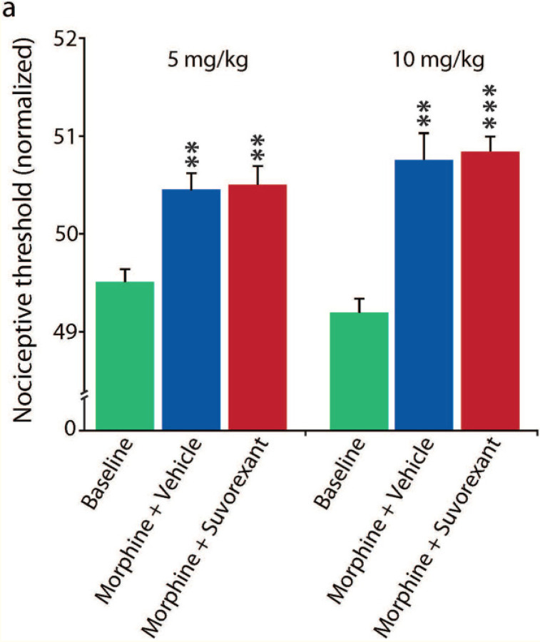 Fig 6: