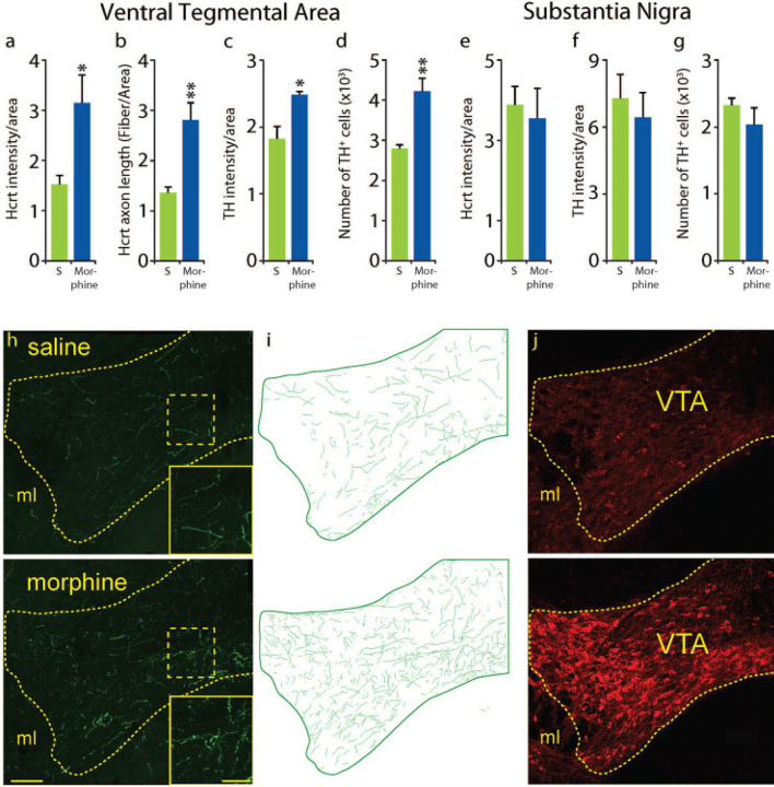 Fig 4: