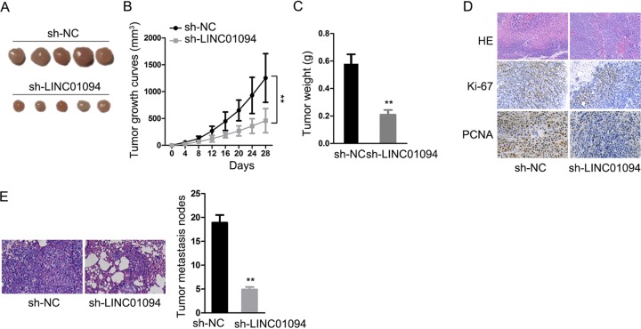 FIG 6