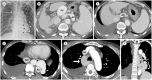 Fig. 9