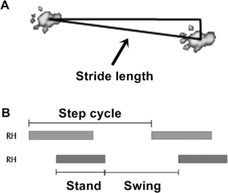 Fig 2