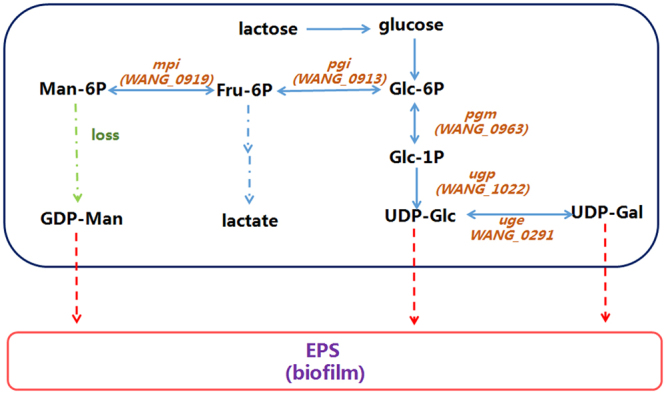 Figure 5