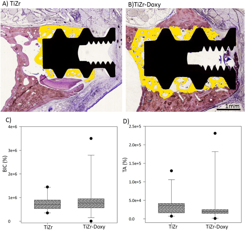 Fig. 8