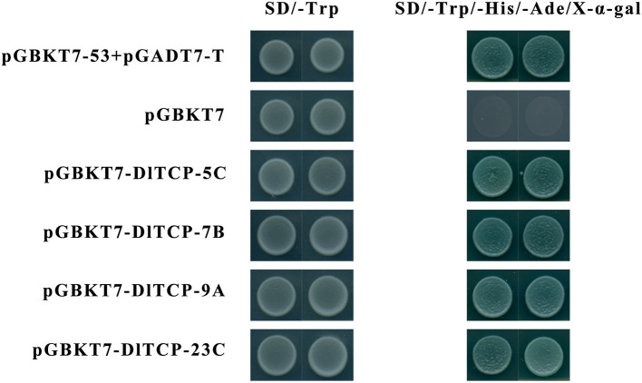 Figure 10