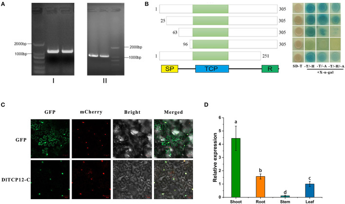 Figure 11