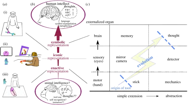 Figure 1.