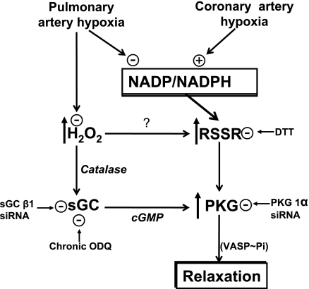 Fig. 10.