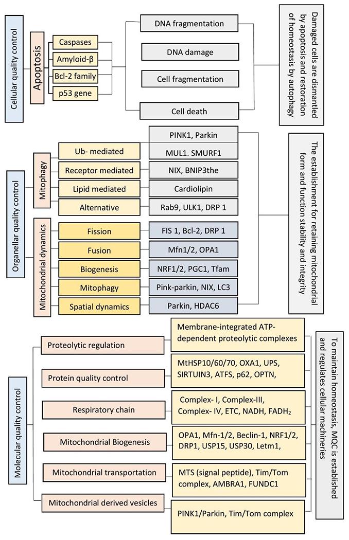 Figure 6: