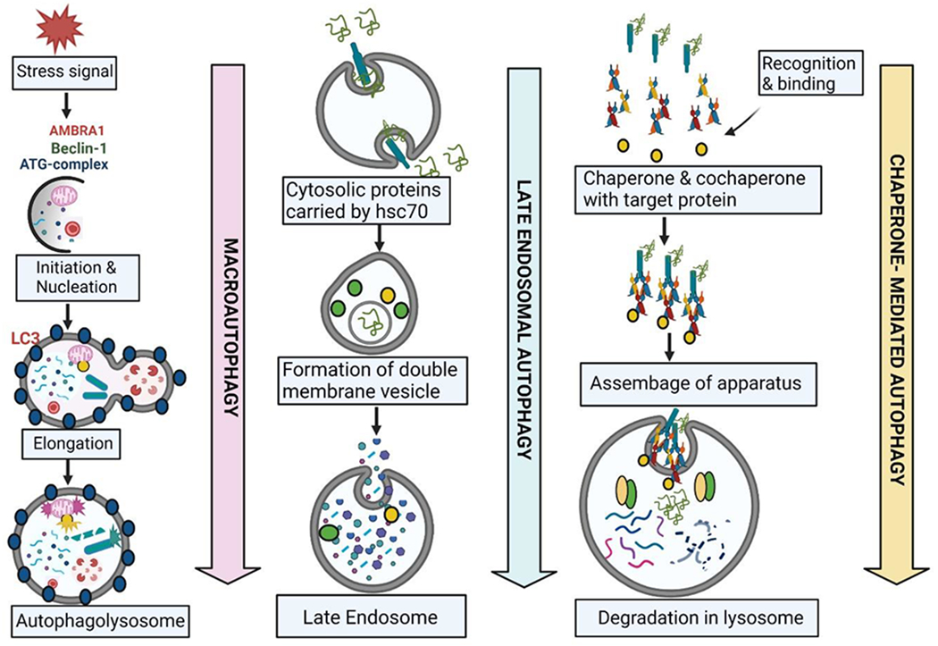 Figure 2: