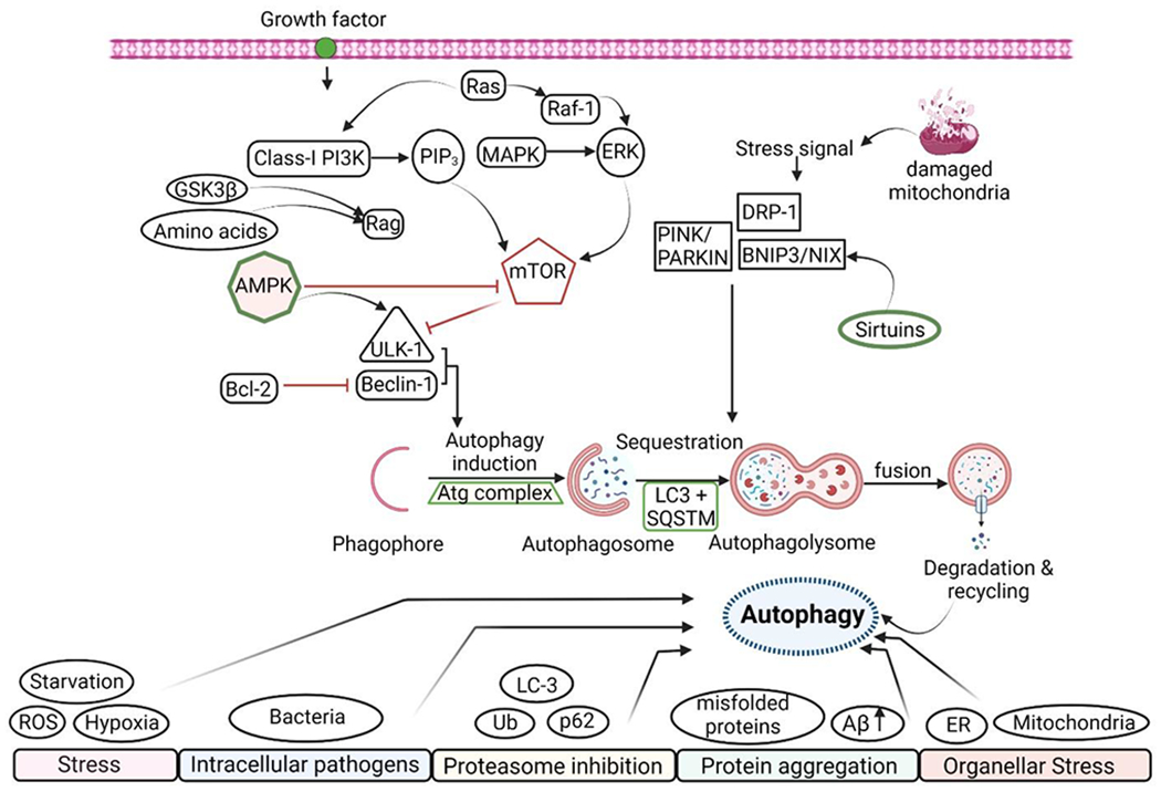 Figure 3: