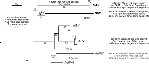 Fig. 8.