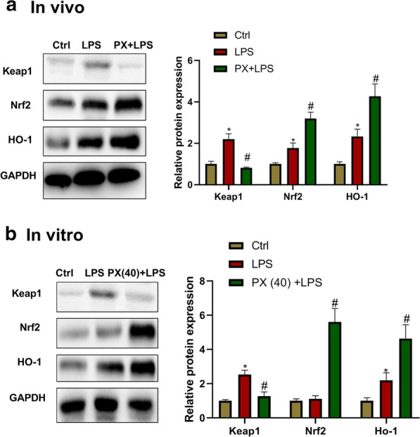 Fig. 6