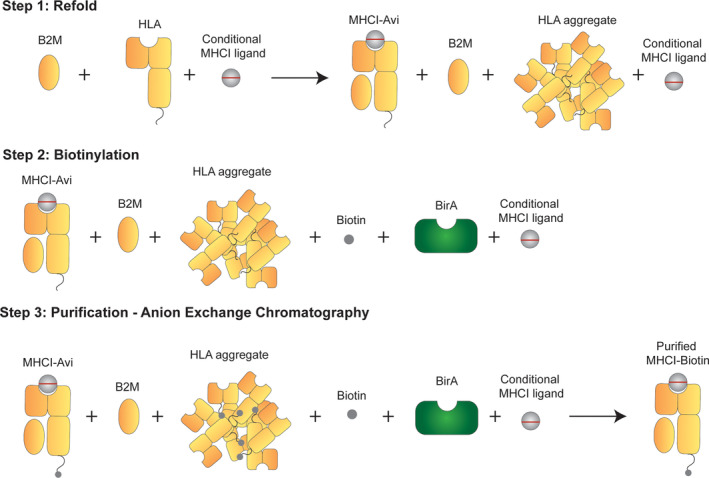 FIGURE 3