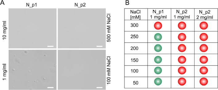 Fig. 10