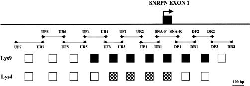 Figure  2