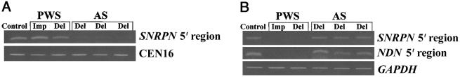 Figure  1