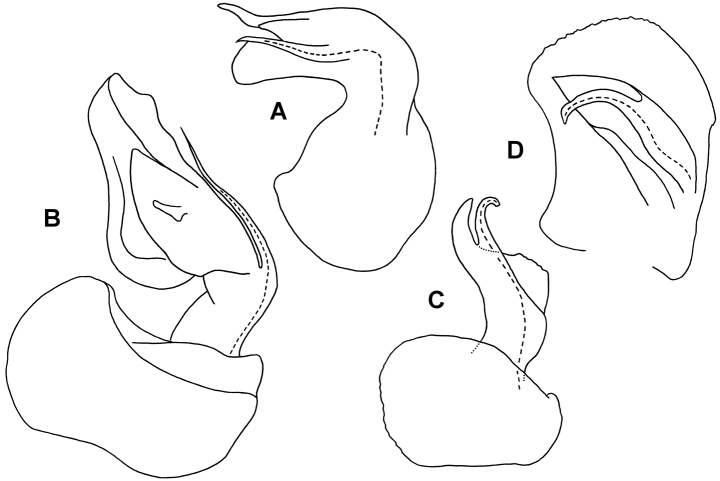 Figure 8.