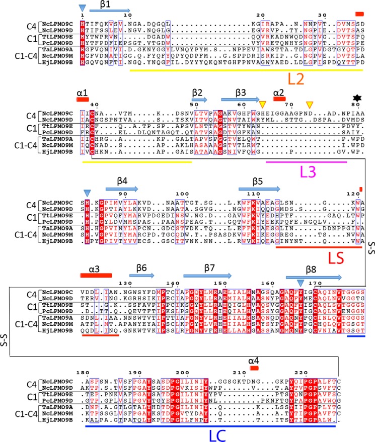 FIGURE 2.