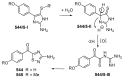Figure 33