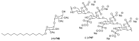 Figure 37