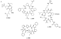 Figure 34