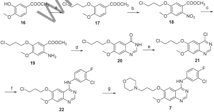 Scheme 3