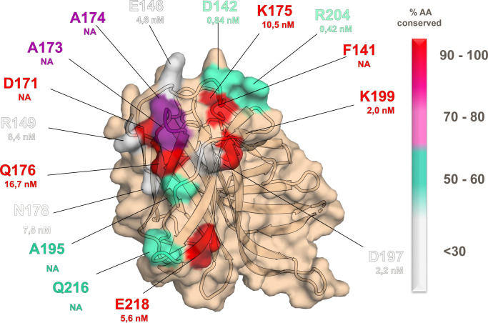 Fig 6