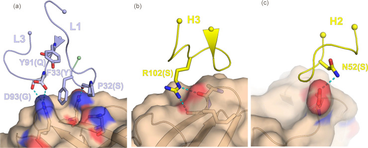 Fig 5