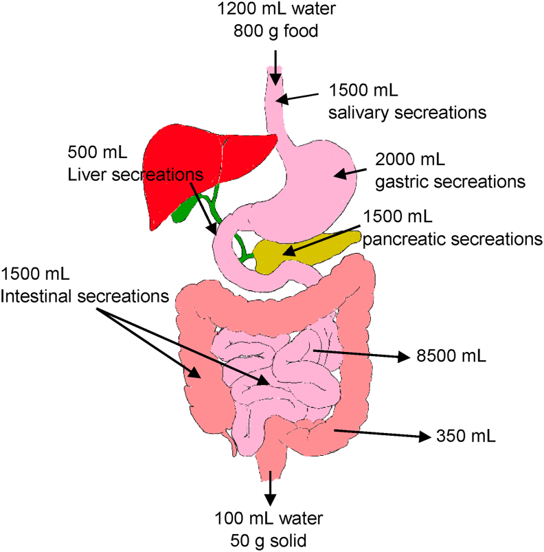 Fig. 1