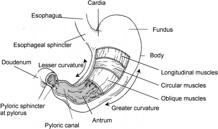 Fig. 2