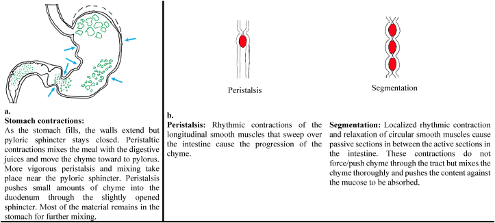 Fig. 3