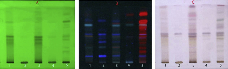 Fig. 1