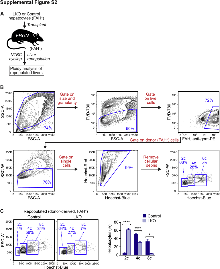 Supplemental Figure S2