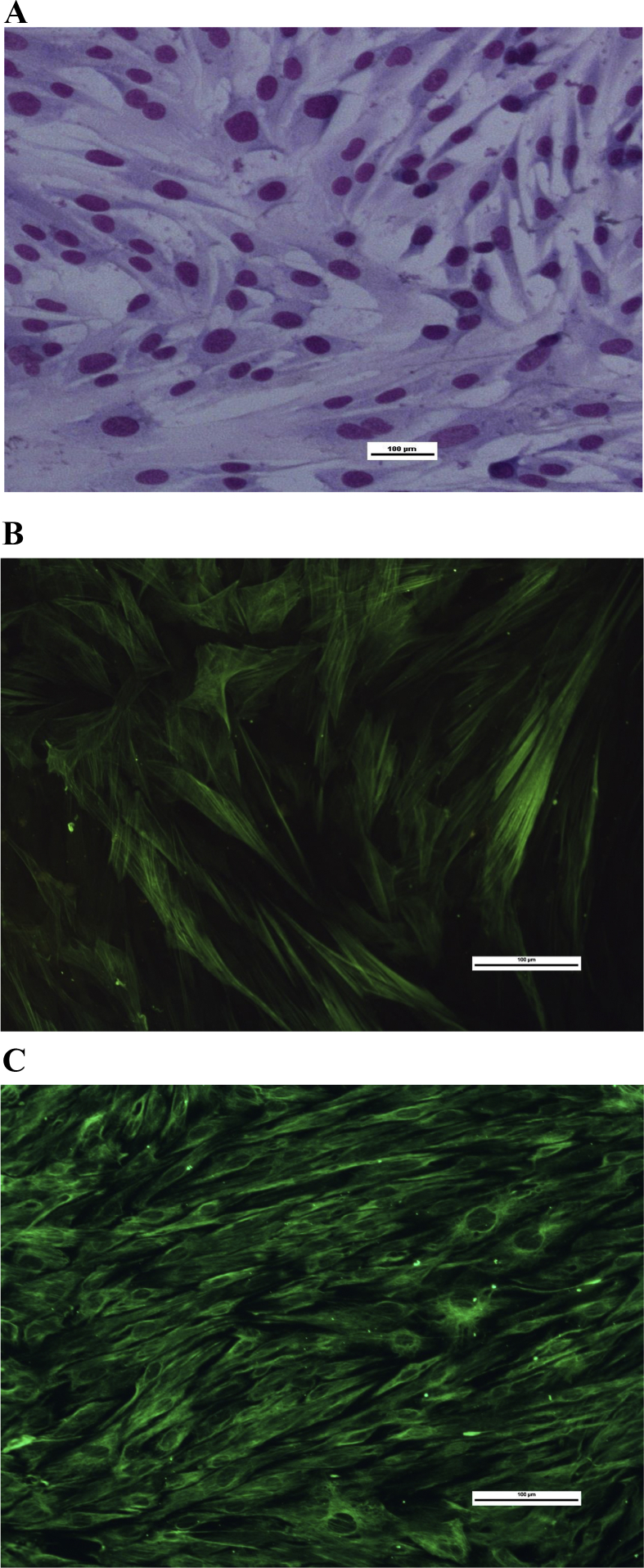 Fig. 4