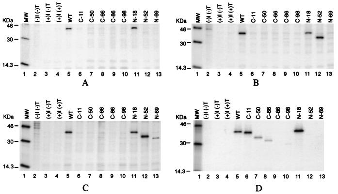 FIG. 4