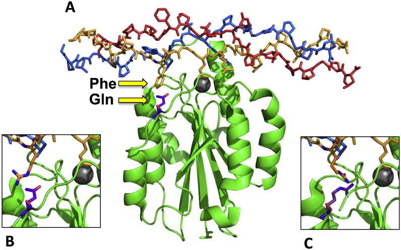 Fig. 7