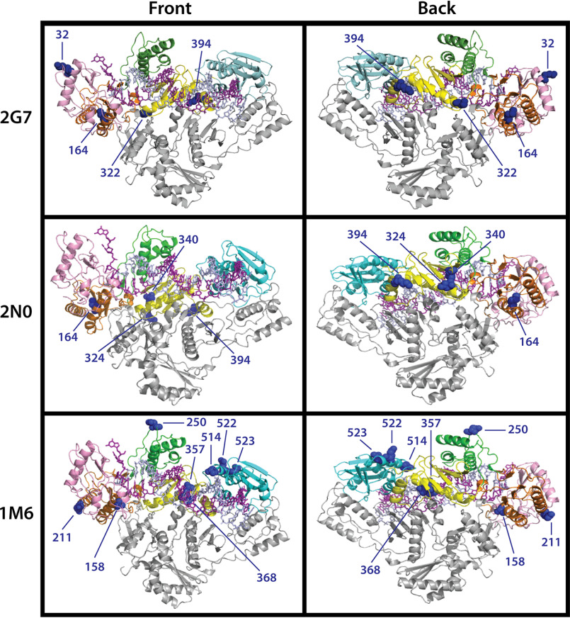 Figure 6.