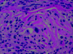 Fig 2.