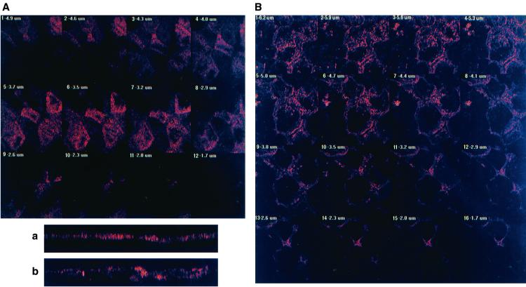 FIG. 6