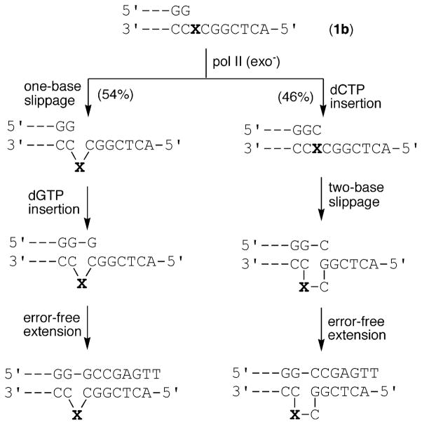 Scheme 2