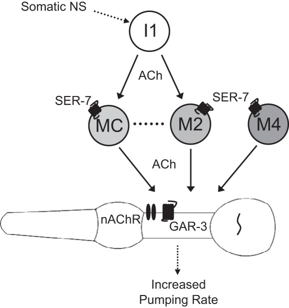 Fig. 6.