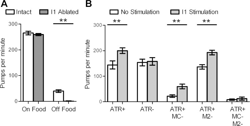 Fig. 3.