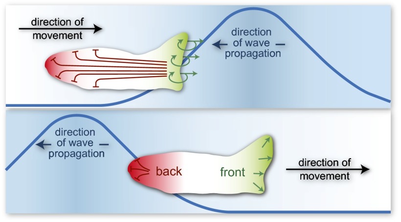 Fig. 1.